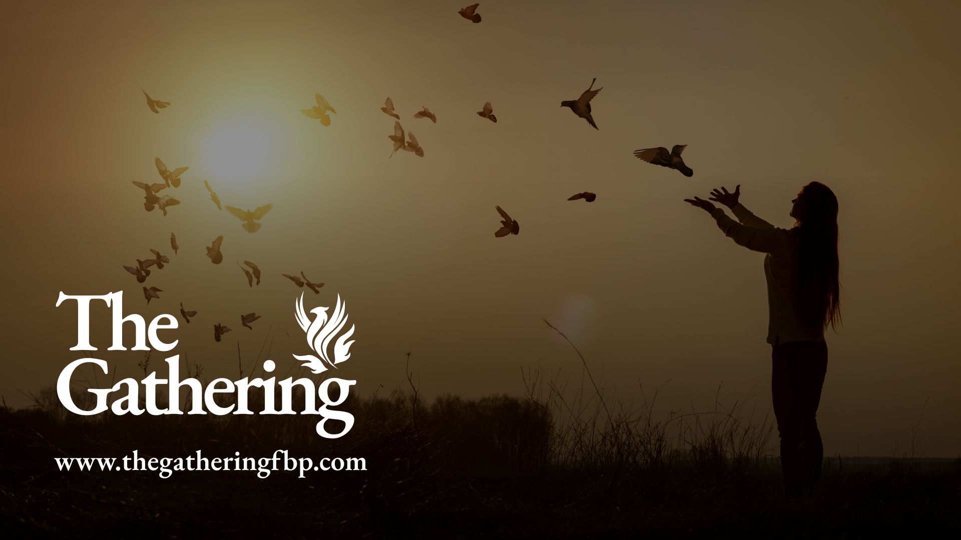 The Gathering Free Courses 1